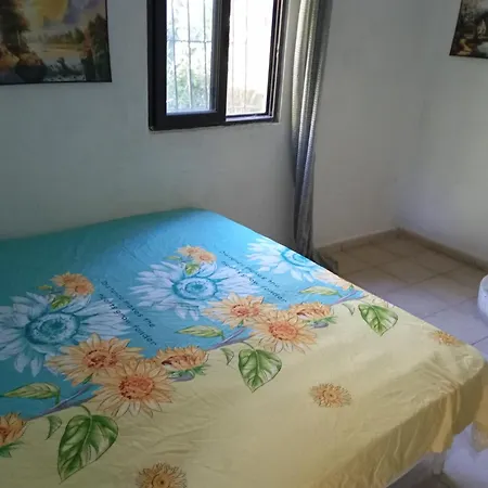 Hydrovor & * Hamallaj