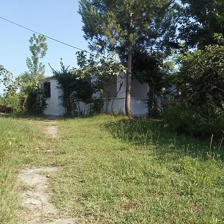 Hydrovor & * Hamallaj