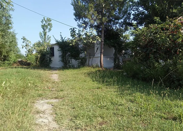 Hydrovor & * Hamallaj