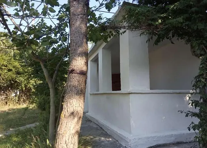 Hydrovor & * Hamallaj