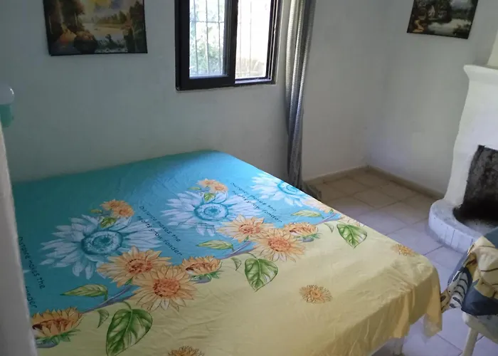 Hydrovor & * Hamallaj